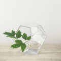 Geometric Terrarium Prism Glass Vase